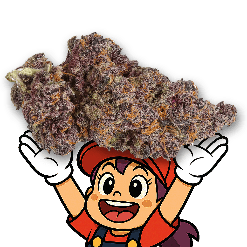 Tropical Cherry